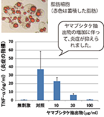 腸での炎症性疾患の発症イメージ