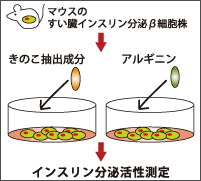 実験方法